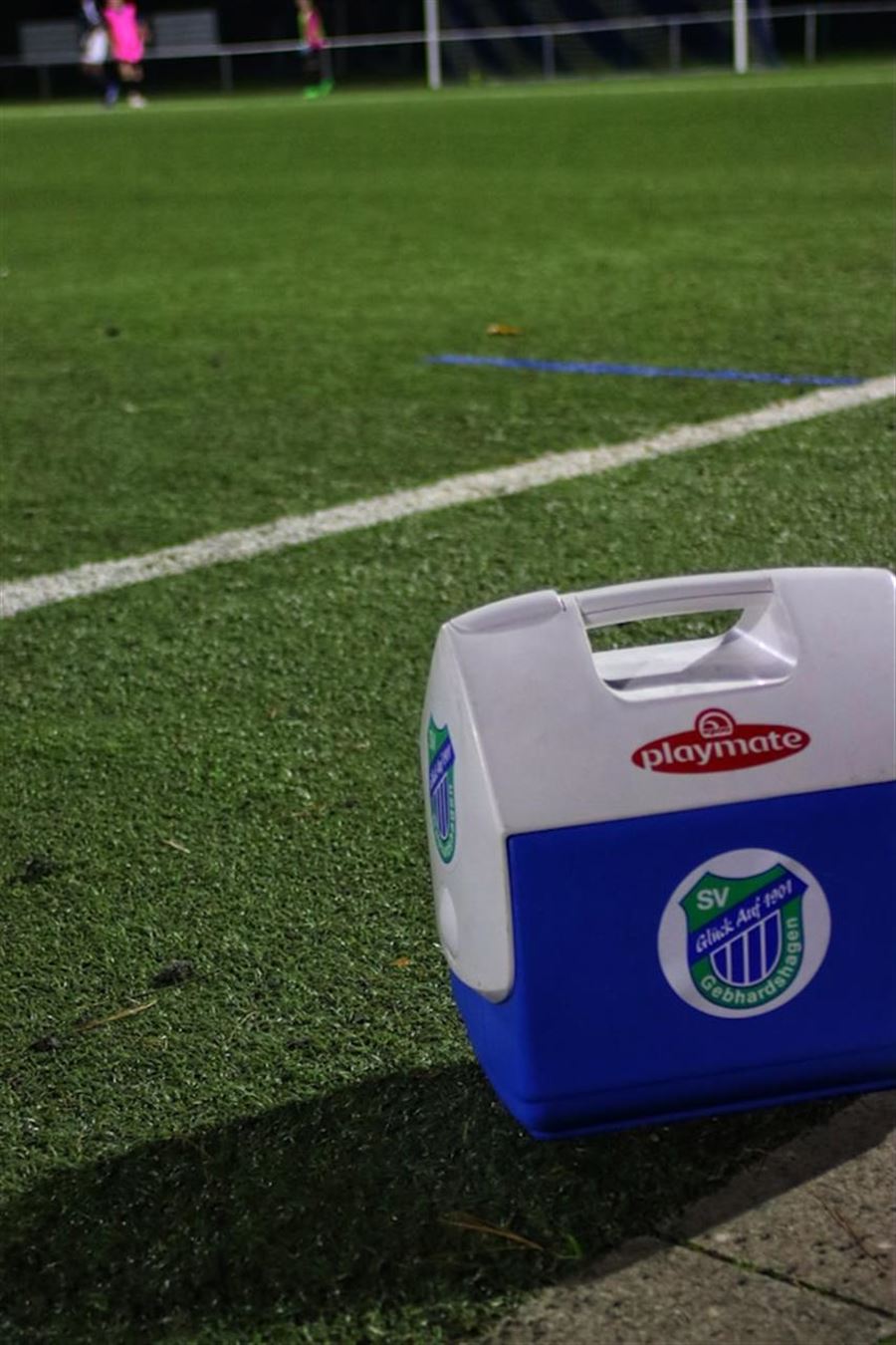 Guide til valg af køletaske: Hvad skal du overveje?